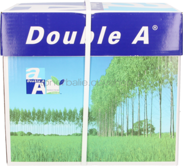 Double A Premium A4 Papier 10 pakken 250 vellen (80 grams) wit