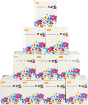 FLWR Zebra 10-pack verzendetiketten 102 mm x 150 mm  oranje