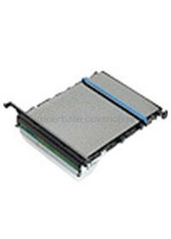 Oki 41531503 Transfer Belt