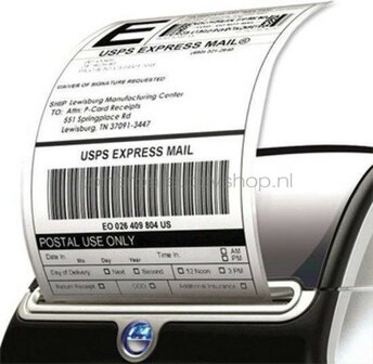 FLWR Dymo S0904980 10-Pack 159 mm x 104 mm  wit