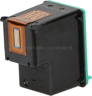 FLWR HP 343 kleur