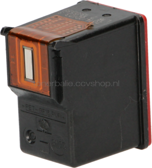 FLWR HP 58 foto kleur