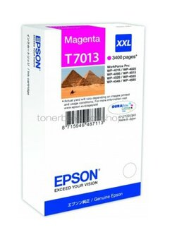 Epson T7013 magenta