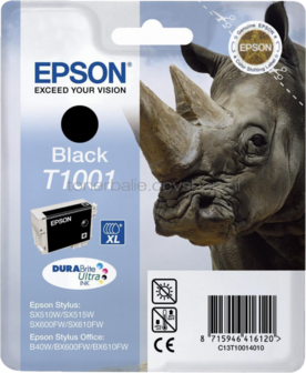 Epson T1001 zwart