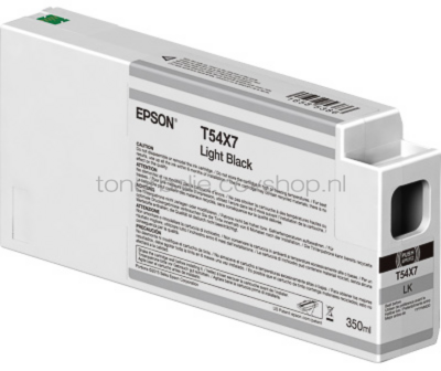 Epson C13T54X700 licht zwart