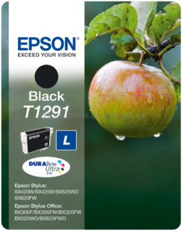 Epson T1291 zwart