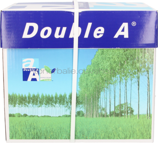 Double A Premium A4 Papier 10 pakken 250 vellen (80 grams) wit