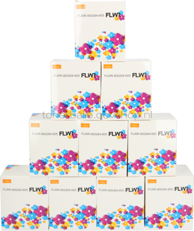 FLWR Zebra 10-pack verzendetiketten 102 mm x 150 mm  oranje