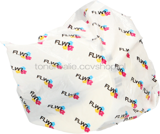 FLWR Brother DK-22205  x 62 mm 30.48 M wit