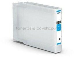 Epson C13T04A24N cyaan